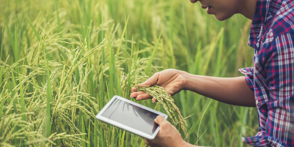 Importance of Field Force Tracking App for Agriculture Industry